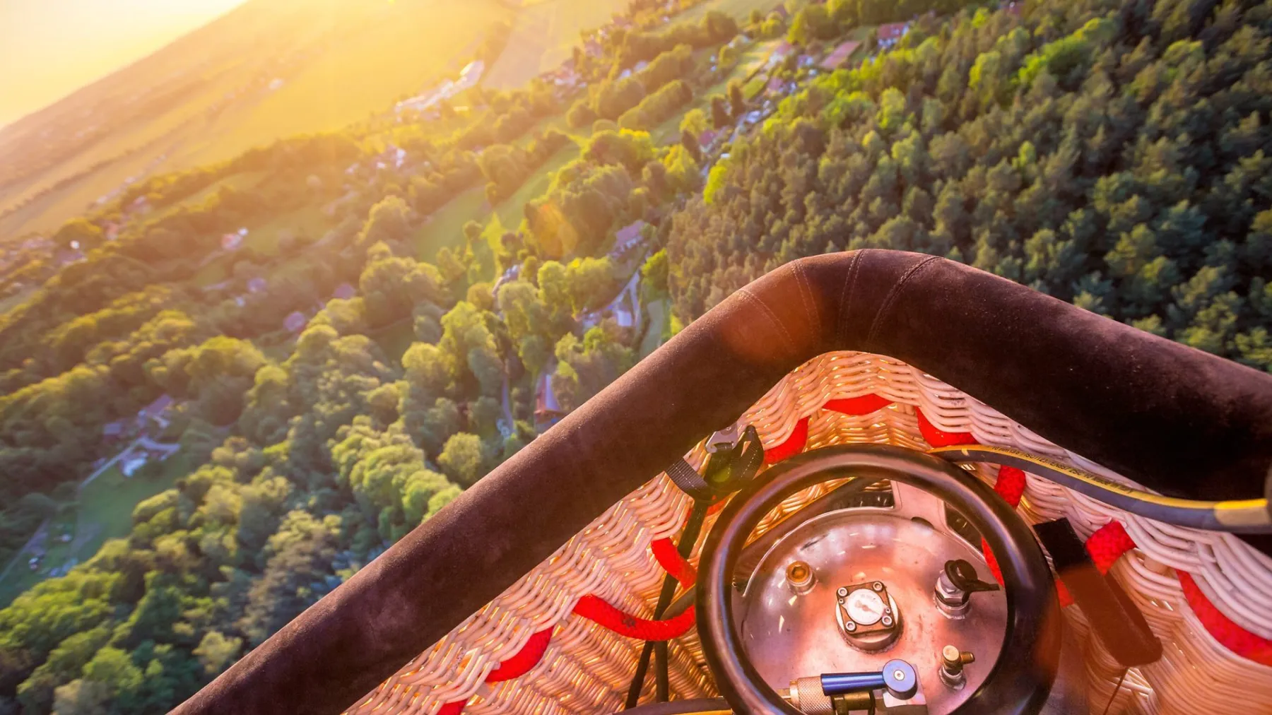 Wild Pig Hot Air Balloon Rides